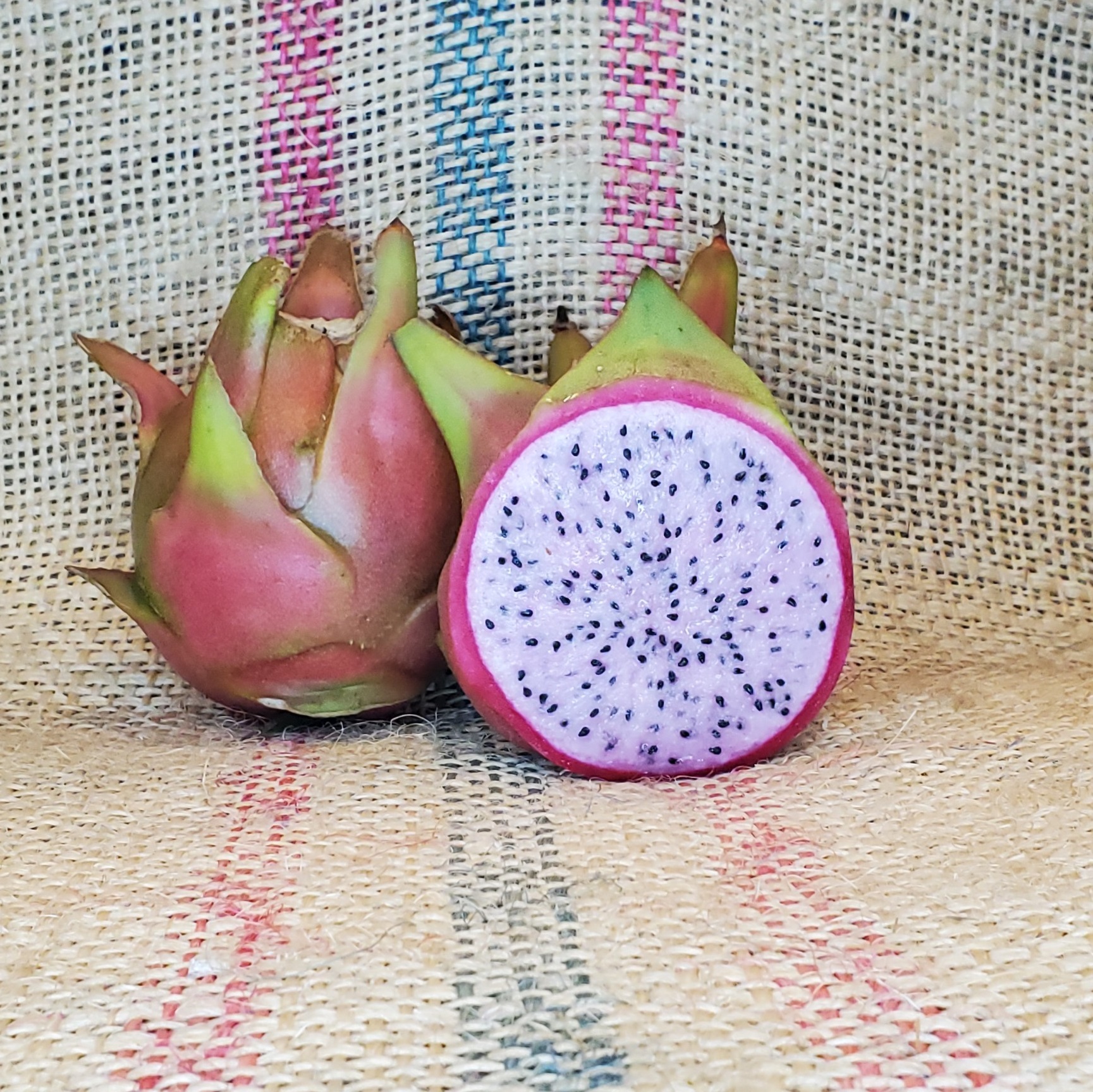 Dragon Fruit Pink