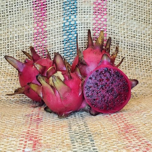 Michelle Dragon Fruit by Spicy Exotics