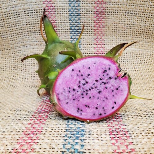 Chantilly Lace Dragon Fruit by Spicy Exotics