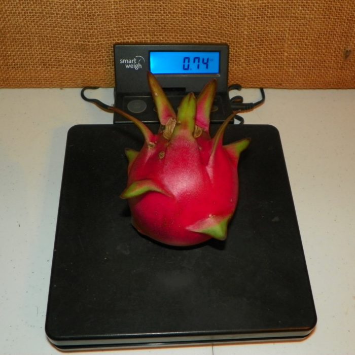 Country Roads Dragon Fruit Weight
