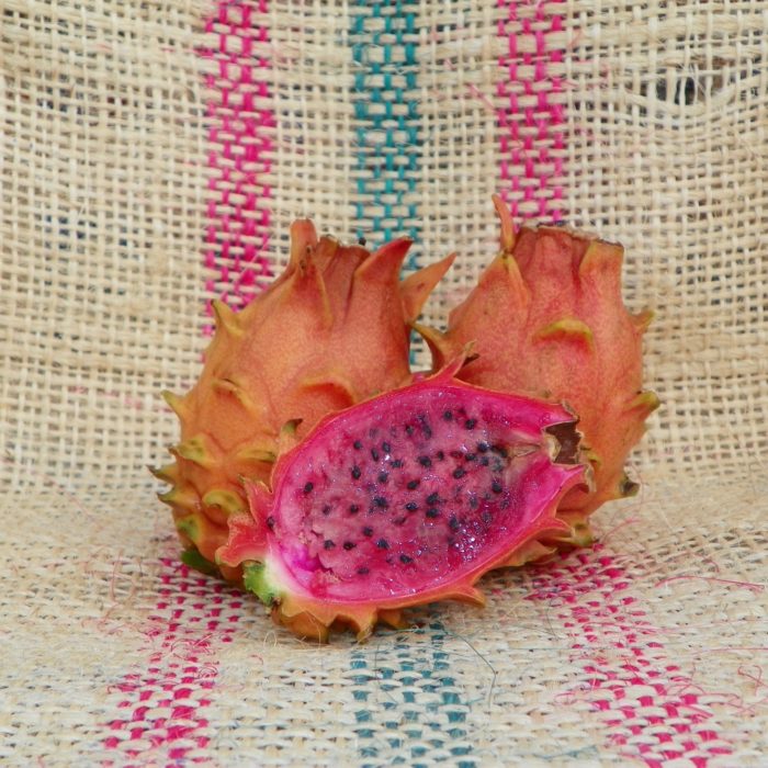 Dragon Fruit variety Frankies Red Spicy Exotics