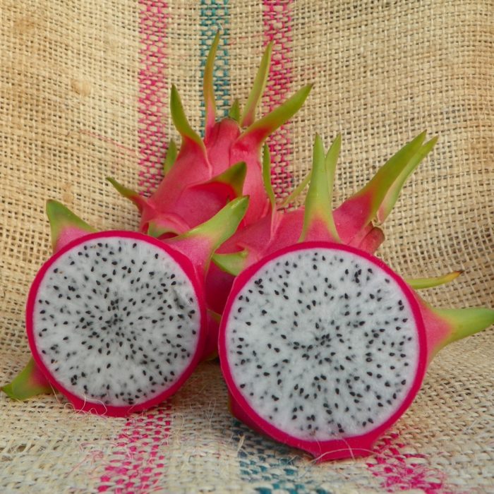 Dragon Fruit variety Mexicana by Spicy Exotics