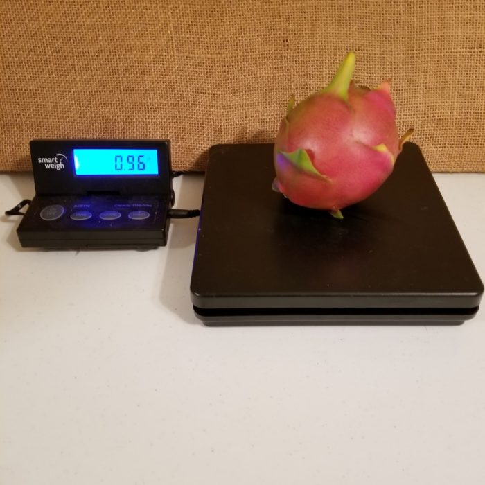 Shayna Dragon Fruit Weigh