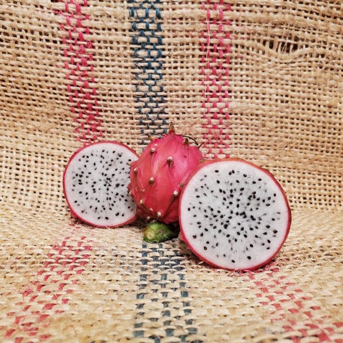 Thick King Dragon Fruit Spicy Exotics