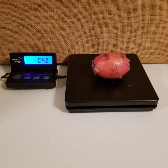 Valdivia Roja Dragon Fruit Weight