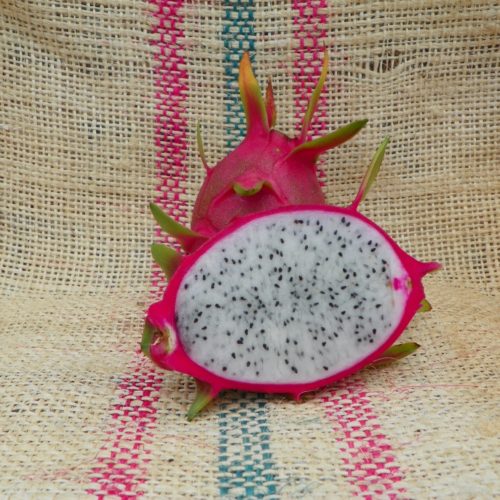 Dragon Fruit variety K1 fruit from Spicy Exotics